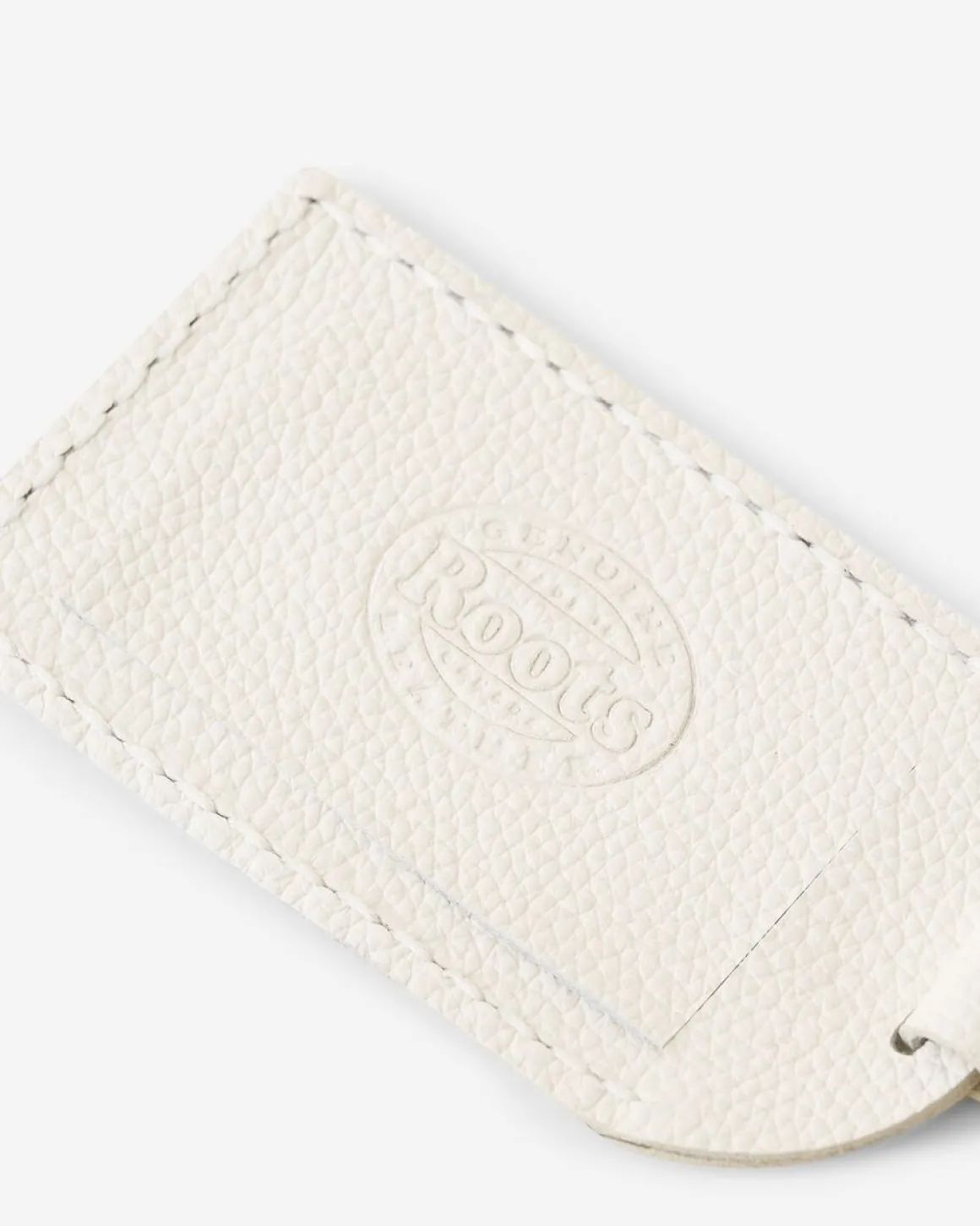 Arch Luggage Tag Cervino