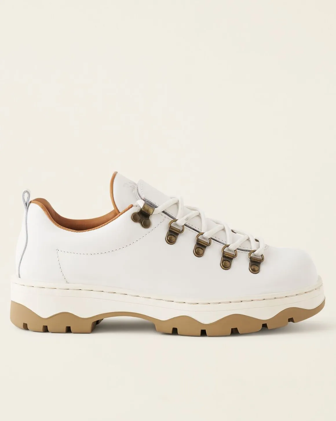 Nordic Shoe