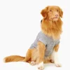 Pooch Salt And Pepper Hoody Size 20
